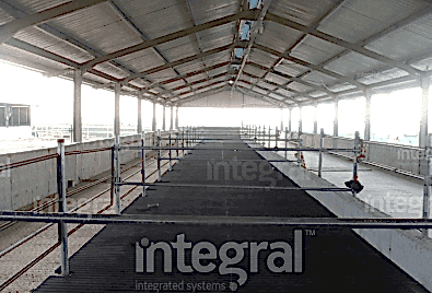 Hayvan Yatağı Uygulaması