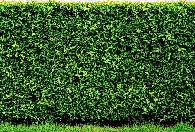 Bahçe Duvarı Uygulaması