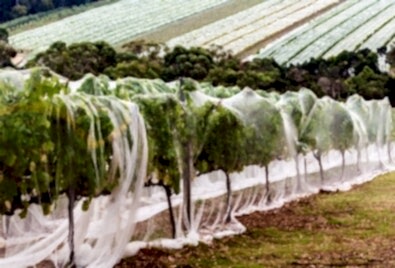 Bahçe File Ağı Uygulaması