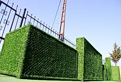 Dikey Peyzaj Bitkisi Uygulaması