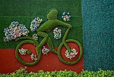 Dikey Peyzaj Uygulaması