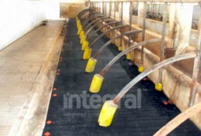 Hayvan Barınağı Zemin Uygulaması