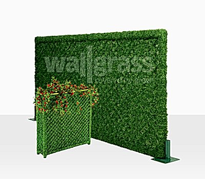 Yeşil Çimçit Panel