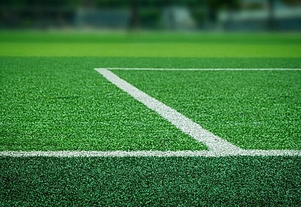 Profesyonel Suni Çim